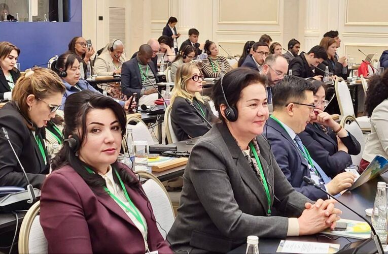 Xalqaro anjuman doirasida tadbirlar davom etmoqda