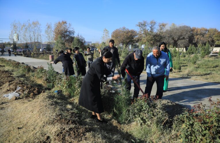 Shahrimizda “Yashil makon” loyihasi uyushqoqlik bilan o’tkazilmoqda