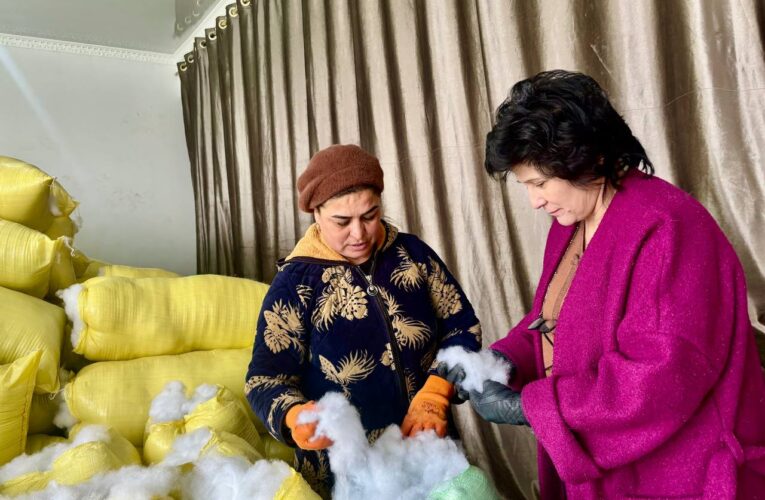 TADBIRKOR AYOL TASHABBUSI — YANGI ISH O‘RINLARI