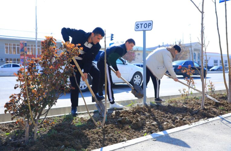 Hashar – elga yarashar